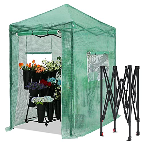 ABCCANOPY 6'x4' Walk-in Greenhouse with Roll-Up Door and Windows