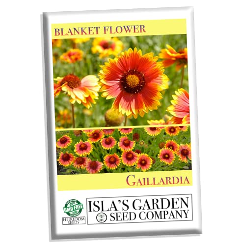 Blanketflower Common Gaillardia Indian Perennial Flower Seeds