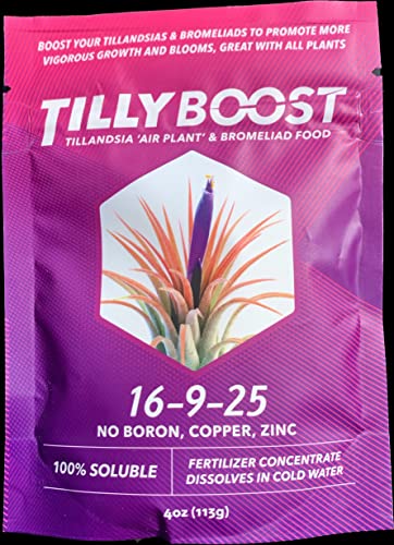 Bromeliad Tillandsia Fertilizer