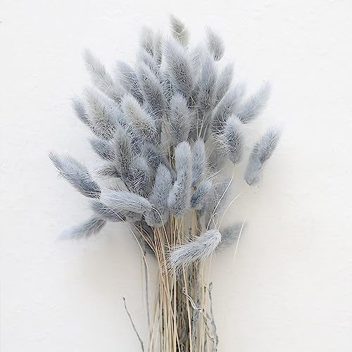 Rabbit Tail Grass Dried Flowers