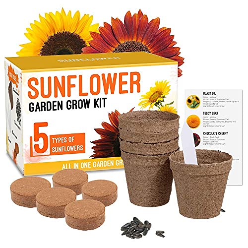 Complete Sunflower Grow Kit - 5 Different Sunflowers Varieties - Beginner Starter Pack - Indoor & Outdoor Use
