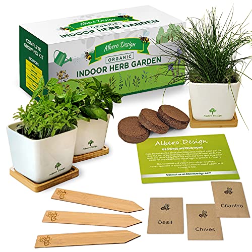 Complete Kitchen Windowsill Herb Garden Kit