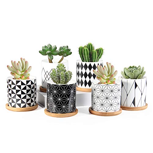 ZOUTOG Succulent Pots - Mini Ceramic Planters with Drainage