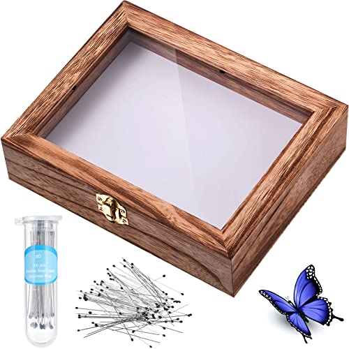 Insect Display Case Box Collection Kit with Clear Top, EVA Foam Pinning Board, and Pins