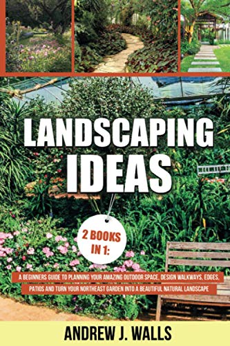 Landscaping Ideas: Beginner's Guide to Designing Your Outdoor Space