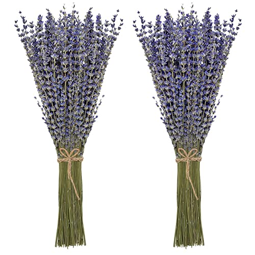Timoo Dried Lavender Bundles - Natural and Fragrant Home Decoration