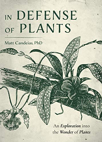 The Wonder of Plants