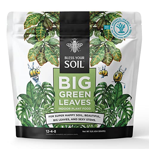 Superfood Houseplant Fertilizer