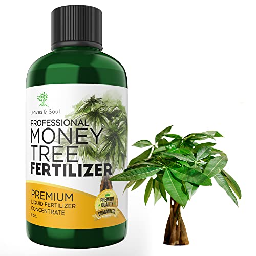 Liquid Money Tree Fertilizer