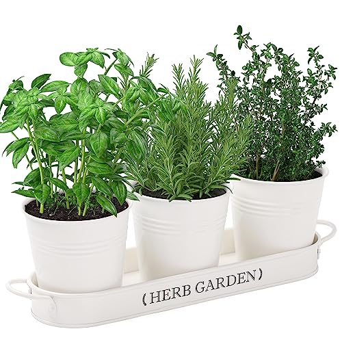 PERFNIQUE Indoor Herb Garden Planter
