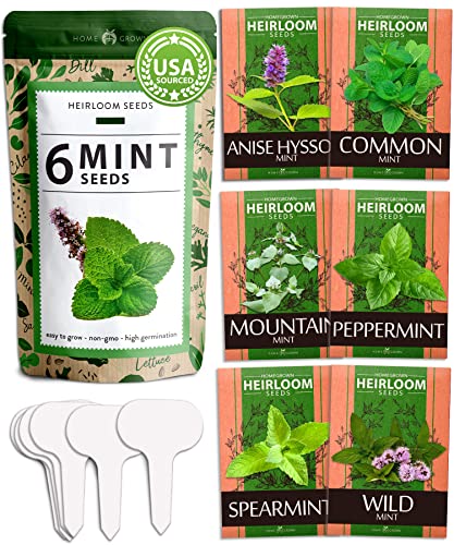 6 Variety Mint Seeds
