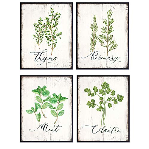 Botanical Herbs and Spices Kitchen Decor