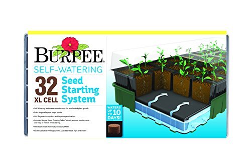 Burpee XL Self-Watering Indoor Seed Starting Kit with 32 Cells