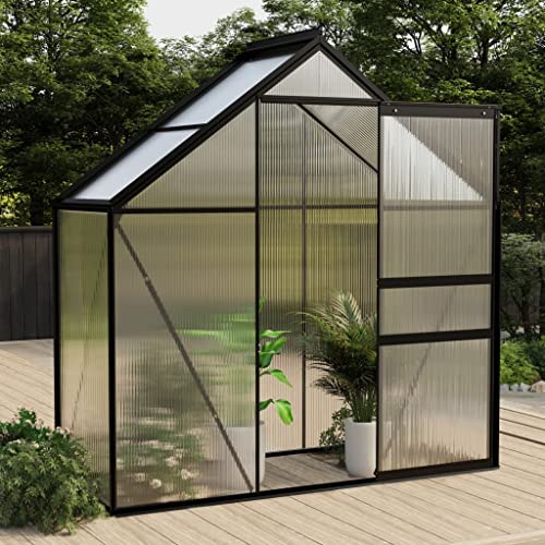Greenhouse Anthracite Aluminum 14.3 ft²