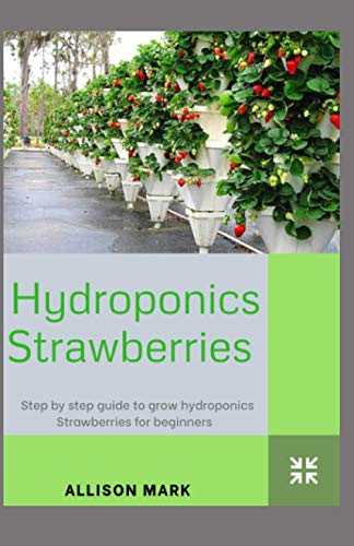 Beginner's Guide to Growing Hydroponic Strawberries