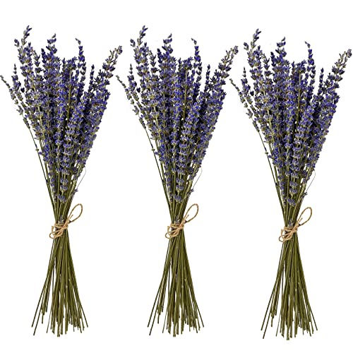 Dried Lavender Flowers Bundles