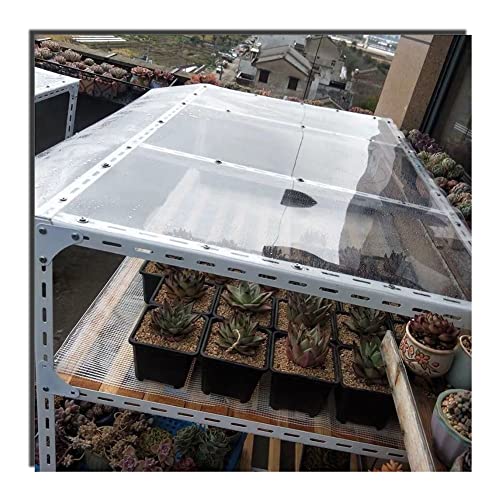 Clear Polycarbonate Sheet for Greenhouse Canopy Stadiums