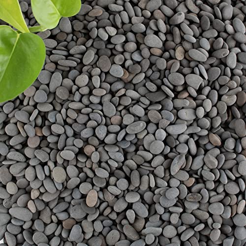 Black Rock River Rocks Pebbles for Plants