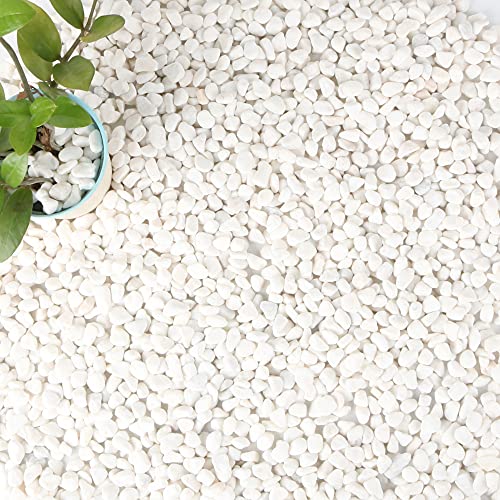 Anothera White Pebbles for Gardens and Aquariums