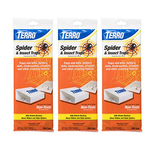 TERRO Non-Toxic Indoor Insect Trap - Effective Spider, Ant, Cockroach, Centipede Control