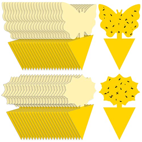 Landisun Fruit Fly Sticky Traps