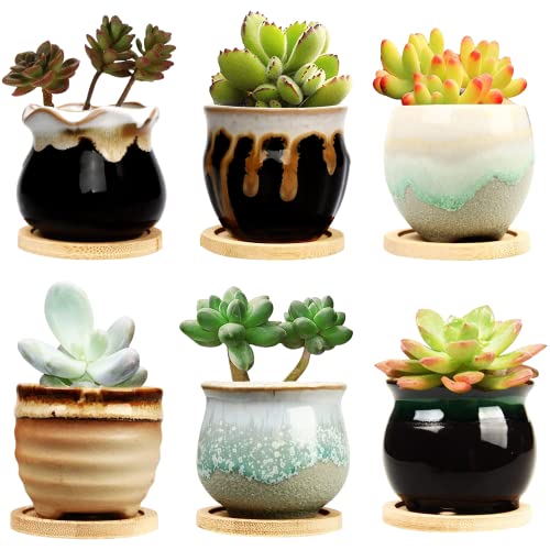 Mini Succulent Pot Set with Drainage