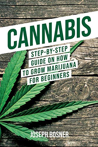 Beginner's Guide to Growing Cannabis