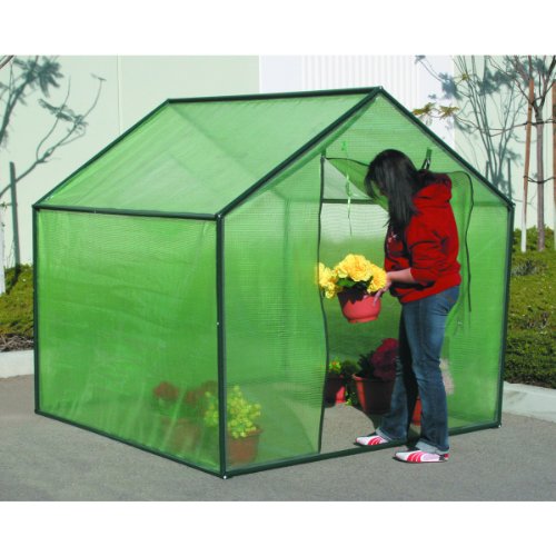 6 Ft. X 6 Ft. Greenhouse