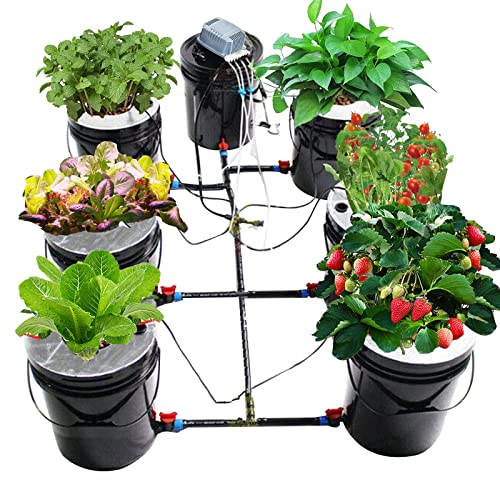 DNYSYSJ DWC Hydroponics Growing System