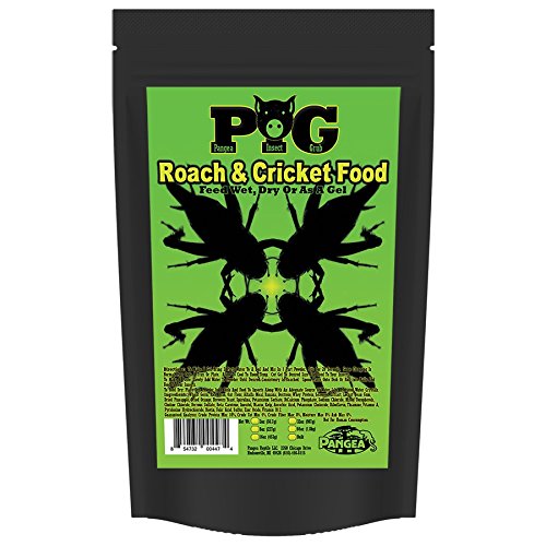 Pangea Roach & Cricket Food (8 oz) for Insects