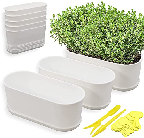 Torfican Window Herb Planter Box