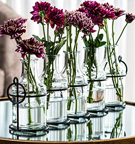 5pc Glass Flower Vase with Metal Holder