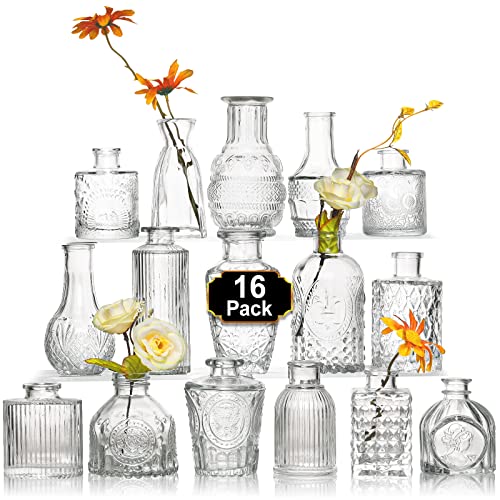 Arme Glass Bud Vase Set