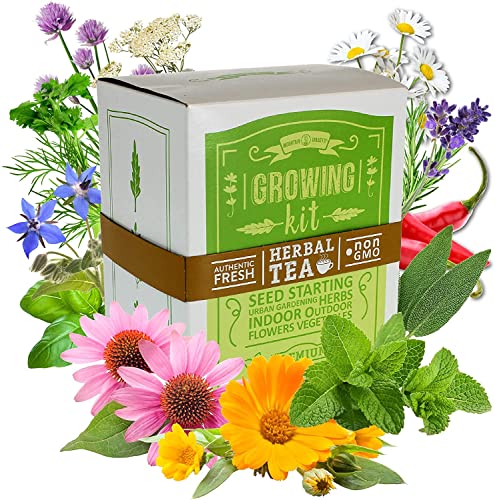 Medicinal & Herbal Tea Indoor Herb Garden Starter Kit