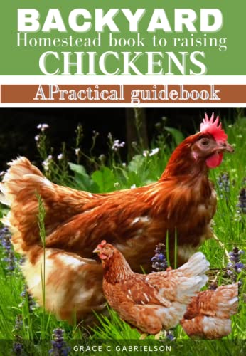 Raising Chickens: A Practical Guidebook for Beginners