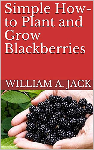 Simple How-to Plant and Grow Blackberries