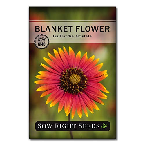 Blanket Flower Seeds - Sow Right Seeds