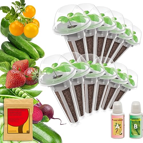 Fruit & Vegetables Seed Kit