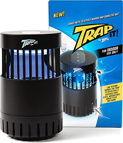 Trap It! Indoor Insect Trap & Indoor Gnat, Fruit Fly, and Mosquito Killer