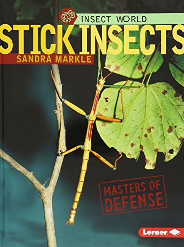 Stick Insects: Masters of Defense