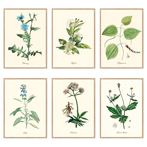 Vintage Kitchen Herb Art Prints