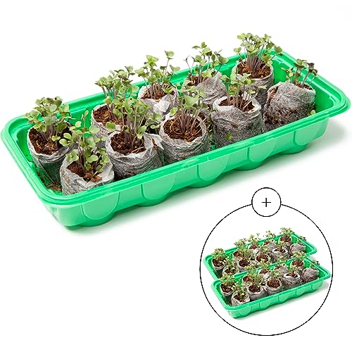 Mini Greenhouse Seed Starter Kit - 30 Cells