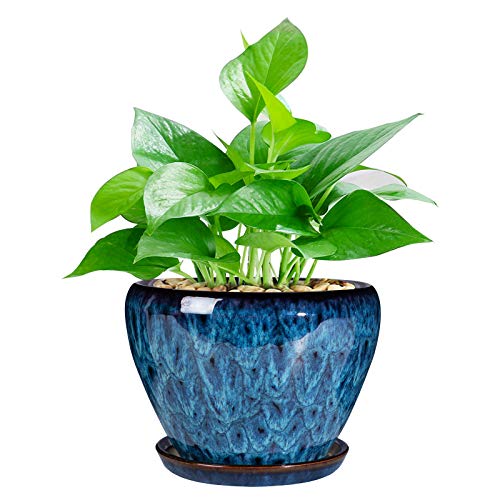 Modern Glaze Succulent Planter Pot