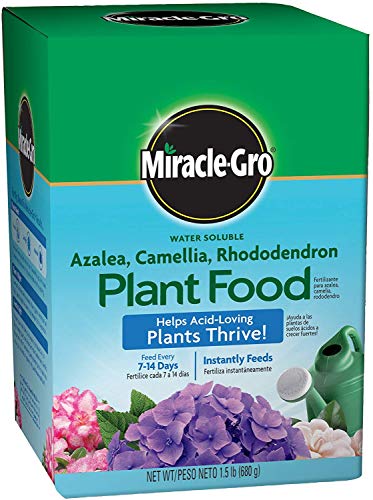 Miracle-Gro Acid Loving Plant Food