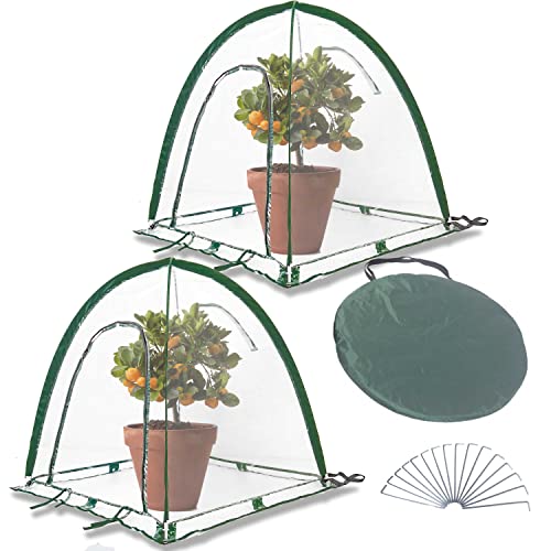 porayhut Pop Up Greenhouse Cover Flower House