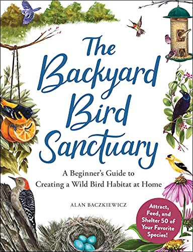 Beginner's Guide to Creating a Wild Bird Habitat