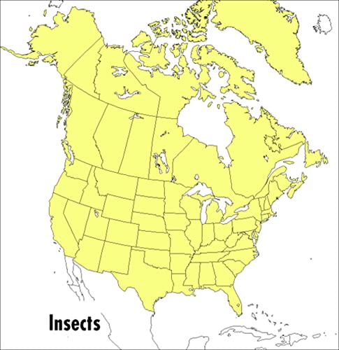 Peterson Field Guide To Insects