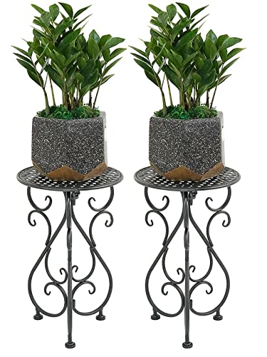 Metal Plant Stands 2 Pack by NAKUPE