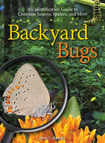 Backyard Bugs: Identification Guide to Insects, Spiders, and More