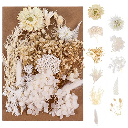 AhlsenL Real Dried Flowers Mix for DIY Crafts